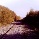 Washington to South Pelaw Junction line at Rickleton, October 83